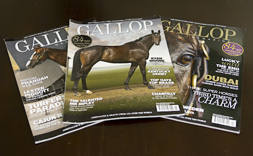 gallop magazine